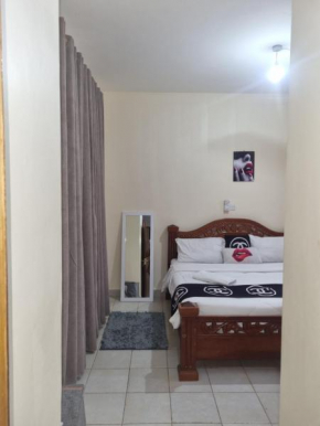 Exquisite 2 bedroom apartment